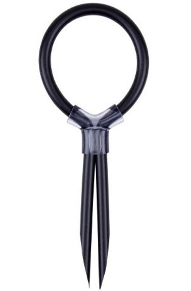 Chisa Stud Cock Ring - Gaiļa gredzens 1