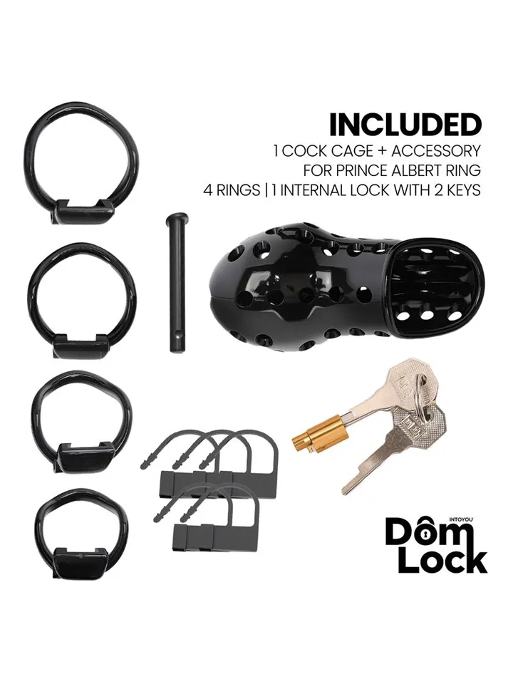 Convict Chastity Cage With Internal Lock - Dzimumlocekļa būris 3 [full]