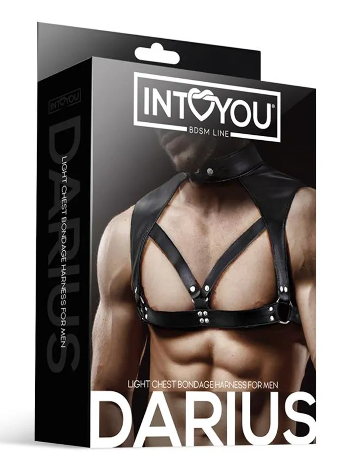 Darius Chest Bondage Harness - Bondage sele 1 [full]