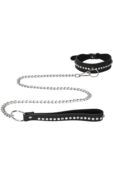 Diamond Studded Collar With Leash - Kaklasiksna un pavadas 2