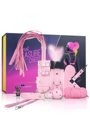 Easytoys Secret Pleasure Chest Pink - Verdzības komplekts 1