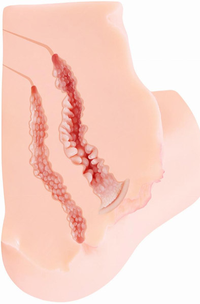 Kokos Onahole Masturbator 5,4 kg - Seksa lelle 3