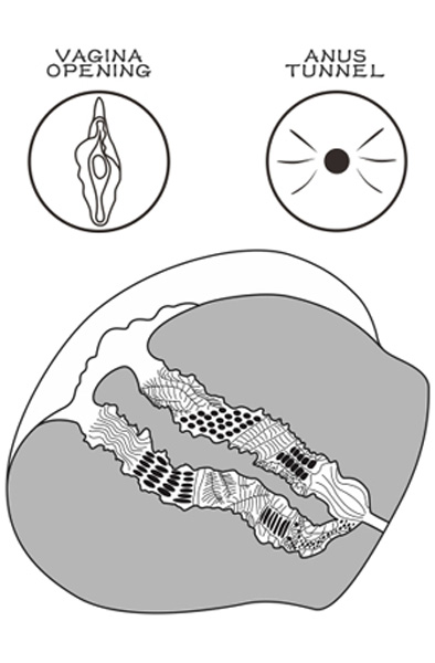 Lovetoy Streetgirl 13 Brown - Vagīnas masturbators 3