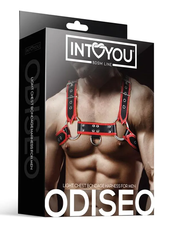 Odiseo Chest Bondage Harness - Bondage sele 1 [full]