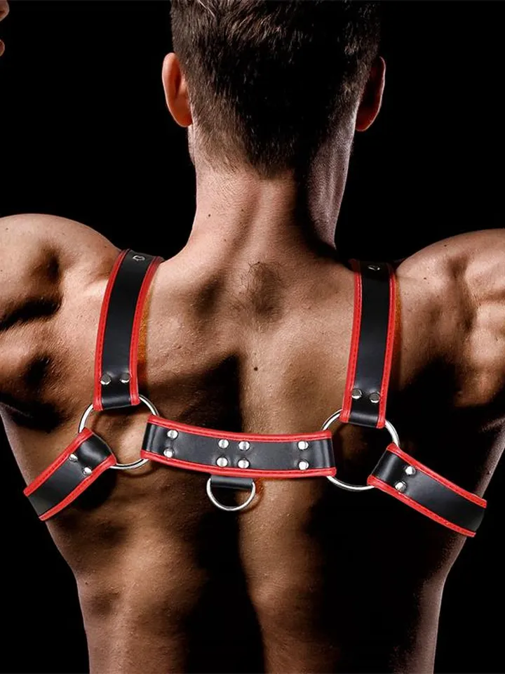 Odiseo Chest Bondage Harness - Bondage sele 2 [full]