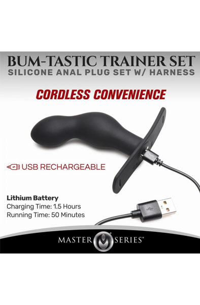 P-Spot Plugger Anal Plug With Harness & Remote Control - Prostatas vibrators 5