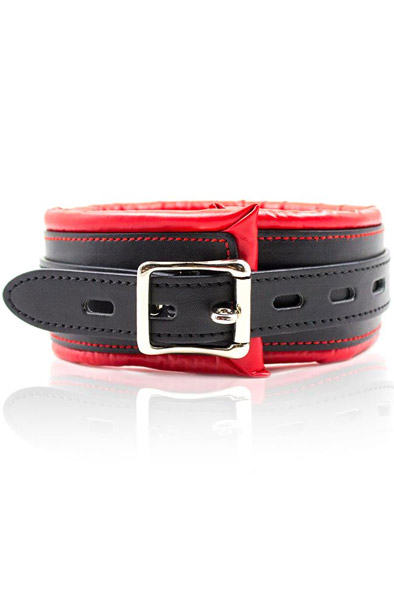Padded Collar With Metal Leash - Verdzības apkakle & amp; Pāris 2