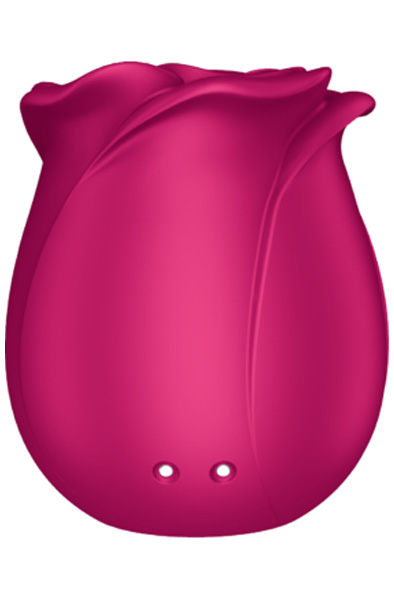 Satisfyer Pro 2 Classic Blossom - Gaisa spiediena vibrators 7