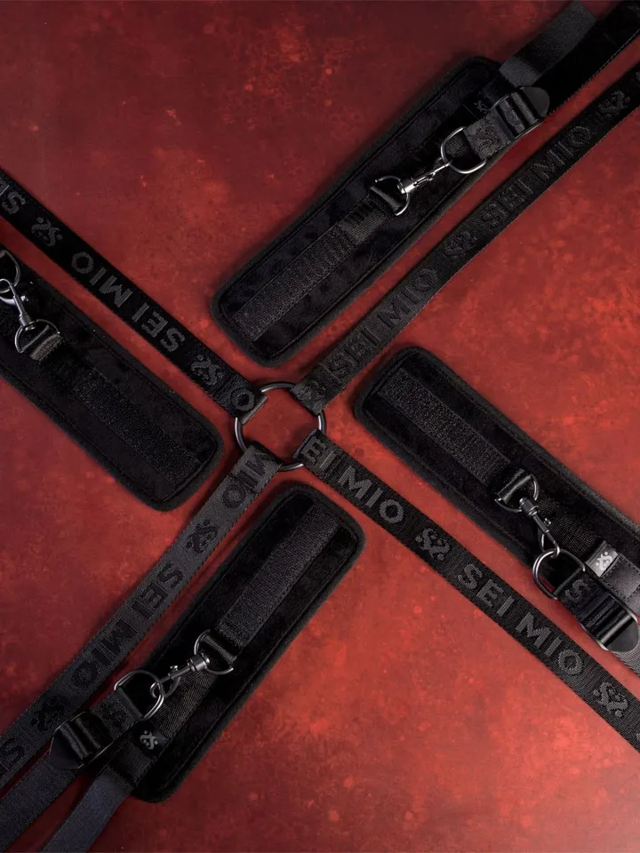 The Bed-Spreader Under The Mattress Restraint System - Plaukstas un potītes aproces 6 [full]