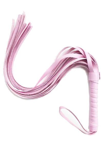 TOYZ4LOVERS Whip Pink - Floggers 1