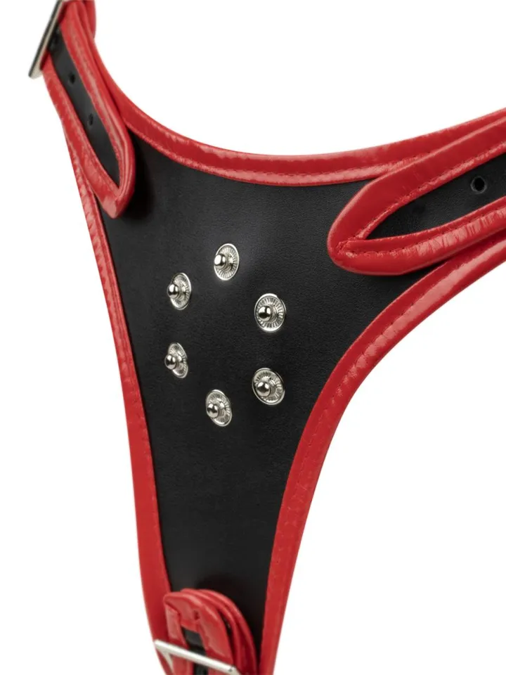 Triple Dildo Strap-On Harness - Siksna ar siksnām 3 [full]
